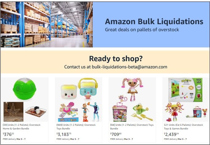 Amazon Bulk Liquidations